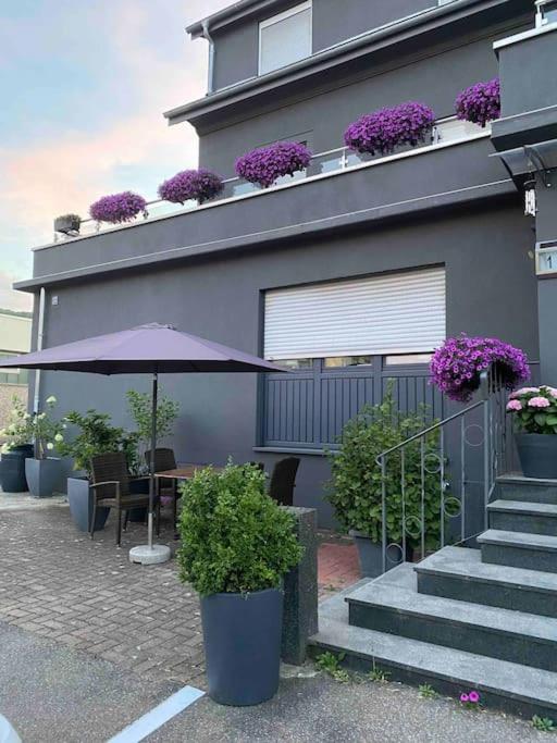 Preiswertes Stilvolles Zimmer Im Privaten Haus Mit Grossem Schoenem Modernem Gemeinschaft Badenzimmer Lorrach Exterior photo