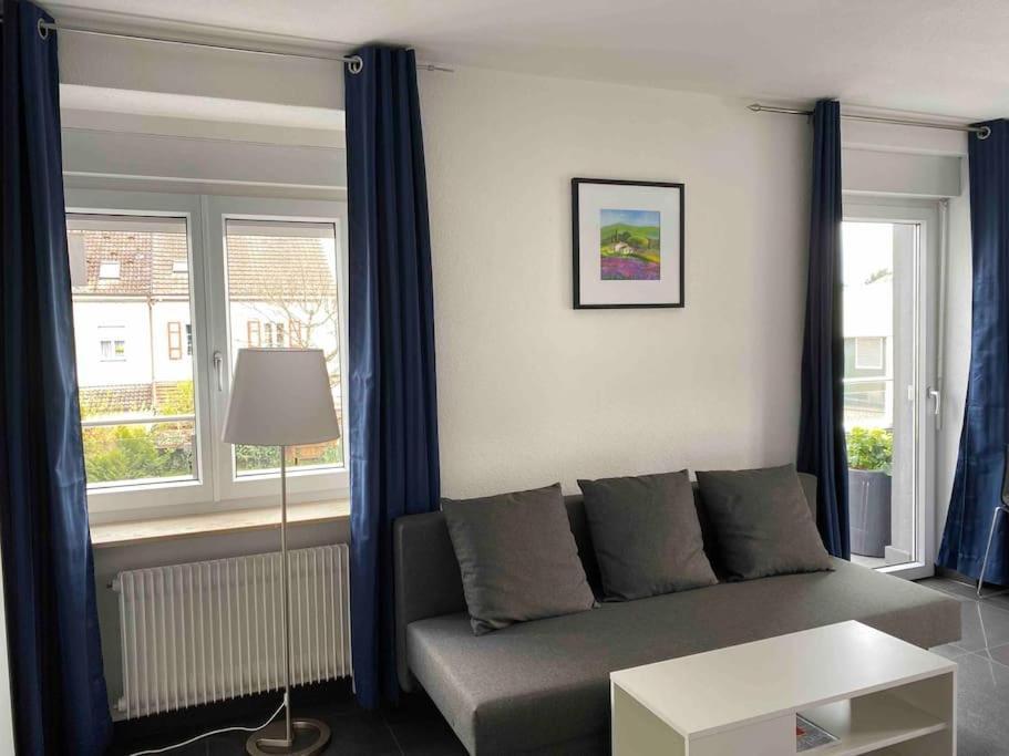 Preiswertes Stilvolles Zimmer Im Privaten Haus Mit Grossem Schoenem Modernem Gemeinschaft Badenzimmer Lorrach Exterior photo